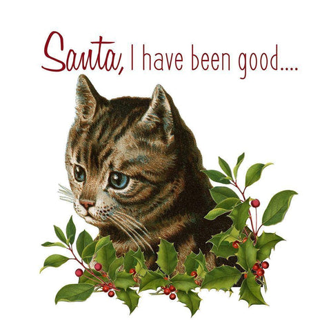 Cat Christmas 1 White Modern Wood Framed Art Print with Double Matting by Kimberly, Allen