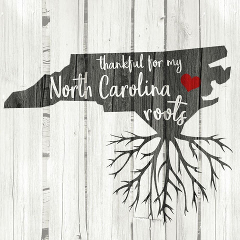 NC Roots White Modern Wood Framed Art Print with Double Matting by Kimberly, Allen