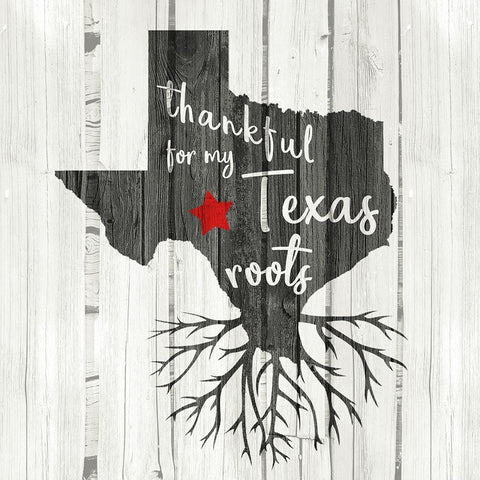 Texas Roots White Modern Wood Framed Art Print with Double Matting by Kimberly, Allen