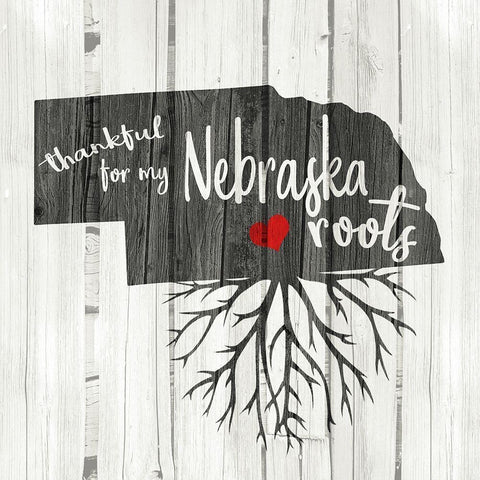 Nebraska Roots Black Modern Wood Framed Art Print with Double Matting by Kimberly, Allen