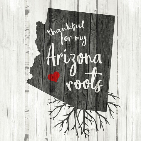 AZ Roots White Modern Wood Framed Art Print with Double Matting by Allen, Kimberly