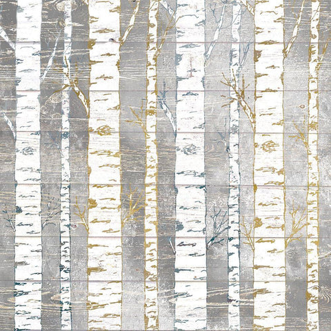 In The Birches White Modern Wood Framed Art Print with Double Matting by Kimberly, Allen