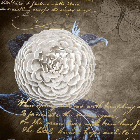 White Bloom Navy 1 Gold Ornate Wood Framed Art Print with Double Matting by Kimberly, Allen