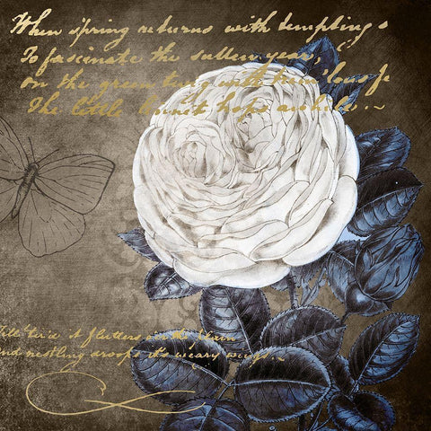 White Bloom Navy 2 Gold Ornate Wood Framed Art Print with Double Matting by Kimberly, Allen