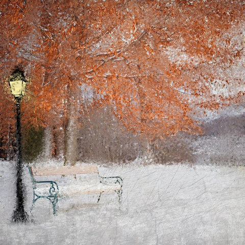 A Change of Seasons White Modern Wood Framed Art Print with Double Matting by Kimberly, Allen