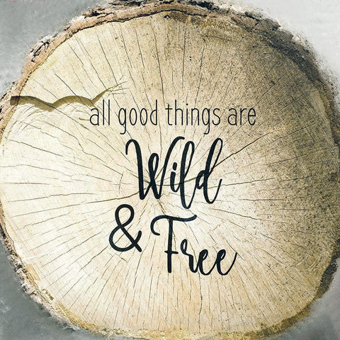 All Good Things Black Modern Wood Framed Art Print with Double Matting by Kimberly, Allen