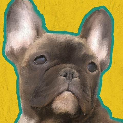 French Bulldog 2 Black Modern Wood Framed Art Print with Double Matting by Kimberly, Allen