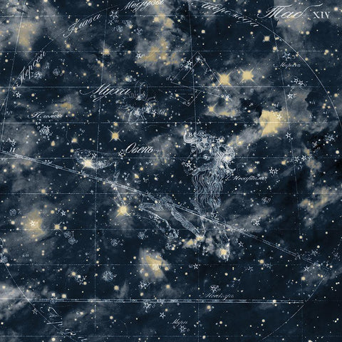 Celestial 3 Black Ornate Wood Framed Art Print with Double Matting by Kimberly, Allen