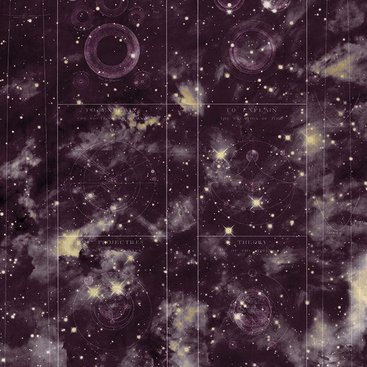 Image Only