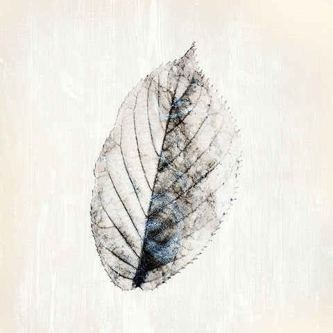 Marbled White 2 White Modern Wood Framed Art Print with Double Matting by Kimberly, Allen