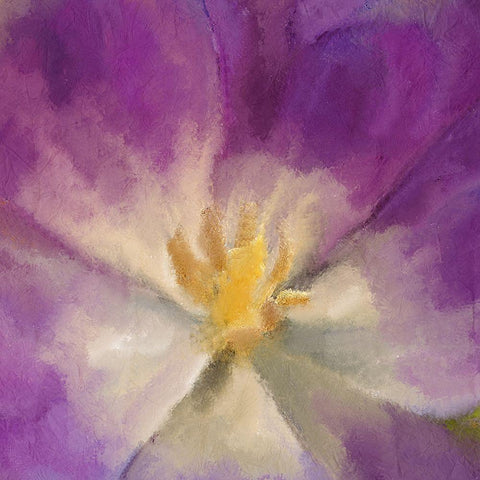 Purple Bloom Black Ornate Wood Framed Art Print with Double Matting by Kimberly, Allen