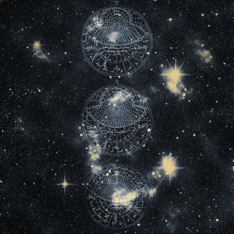 Starfield 1 Gold Ornate Wood Framed Art Print with Double Matting by Kimberly, Allen