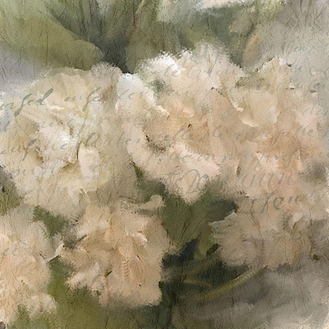 Summer Hydrangeas 1 Black Modern Wood Framed Art Print by Kimberly, Allen