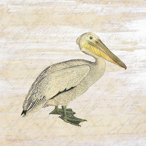 Shore Birds 3 White Modern Wood Framed Art Print by Kimberly, Allen