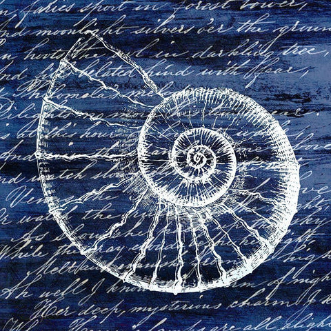 Indigo Shell 1 Black Ornate Wood Framed Art Print with Double Matting by Kimberly, Allen