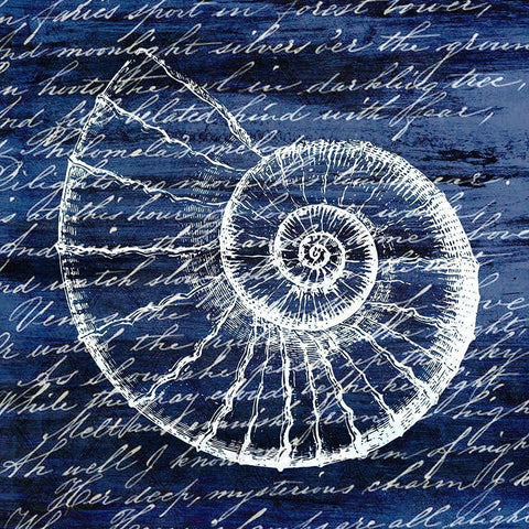 Indigo Shell 1 Black Modern Wood Framed Art Print by Kimberly, Allen