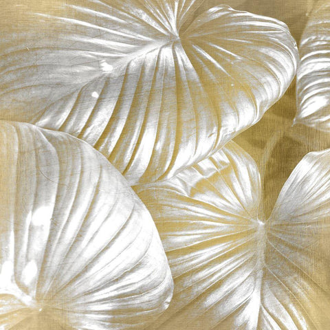 Tropic Gold 1 White Modern Wood Framed Art Print by Kimberly, Allen