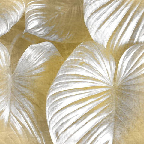 Tropic Gold 2 White Modern Wood Framed Art Print with Double Matting by Kimberly, Allen