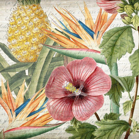 My Tropics 1 Gold Ornate Wood Framed Art Print with Double Matting by Kimberly, Allen