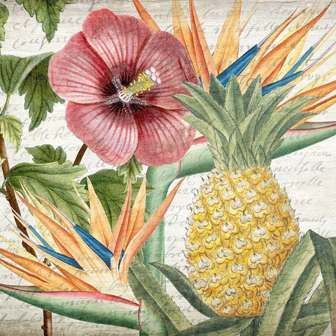 My Tropics 2 Gold Ornate Wood Framed Art Print with Double Matting by Kimberly, Allen