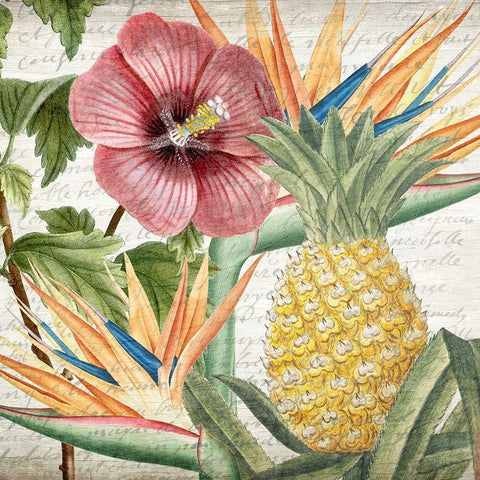 My Tropics 2 White Modern Wood Framed Art Print with Double Matting by Kimberly, Allen