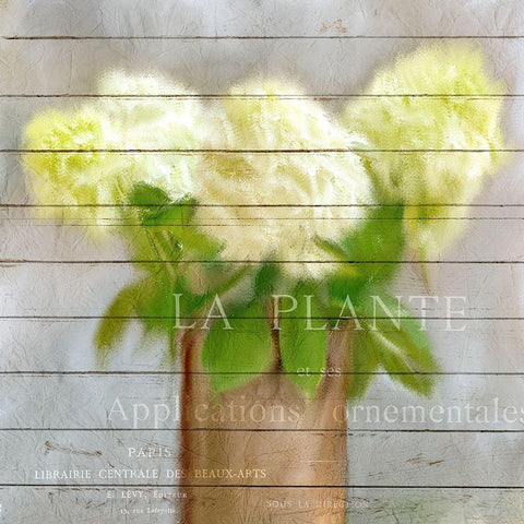 Hydrangeas in Copper White Modern Wood Framed Art Print by Kimberly, Allen