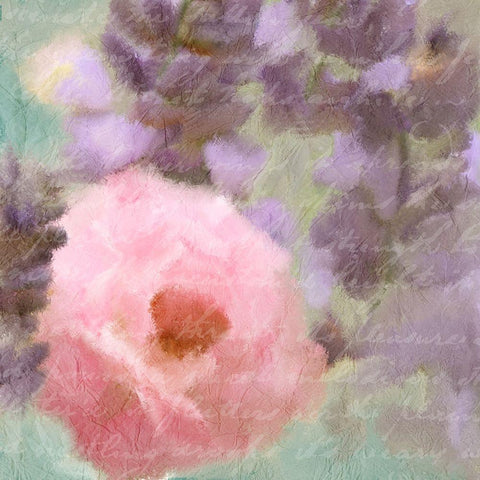 Pink Bloom 1 White Modern Wood Framed Art Print by Kimberly, Allen