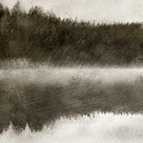Misty Morning on the Lake 1 Black Modern Wood Framed Art Print with Double Matting by Allen, Kimberly