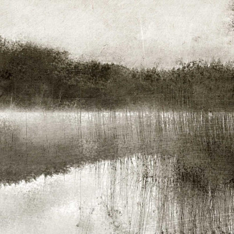 Misty Morning on the Lake Gold Ornate Wood Framed Art Print with Double Matting by Allen, Kimberly