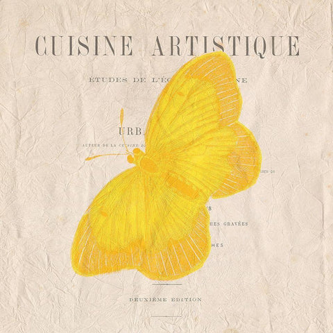 Butterfly in Color 1 Black Modern Wood Framed Art Print with Double Matting by Kimberly, Allen