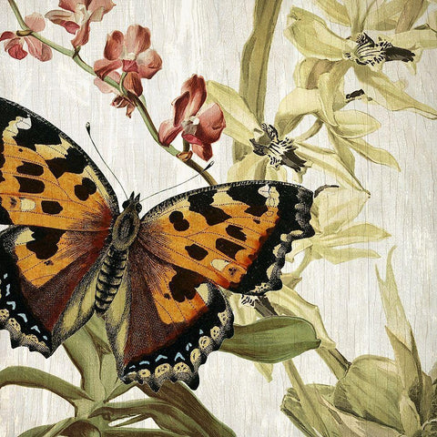 Butterfly World 2 Gold Ornate Wood Framed Art Print with Double Matting by Kimberly, Allen