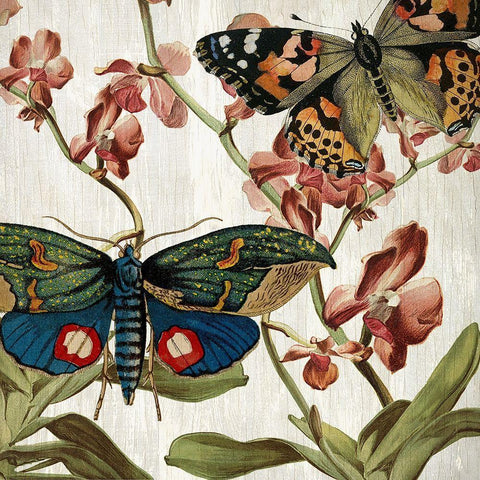 Butterfly World 3 Black Ornate Wood Framed Art Print with Double Matting by Kimberly, Allen