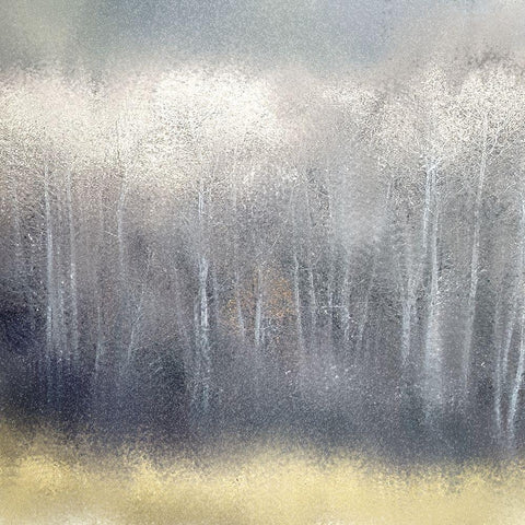 Silver Forest Gold Ornate Wood Framed Art Print with Double Matting by Kimberly, Allen