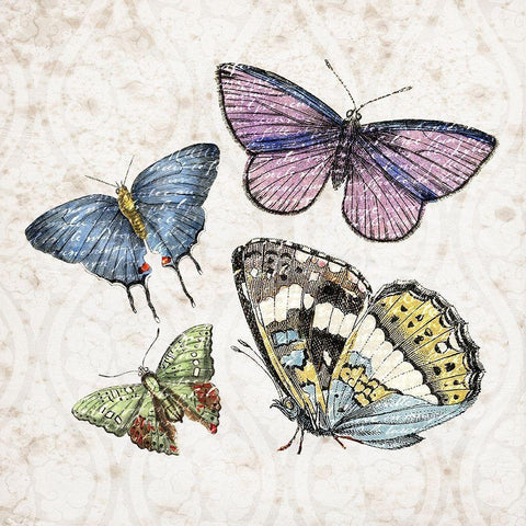 Butterfly Flight 1 White Modern Wood Framed Art Print with Double Matting by Kimberly, Allen