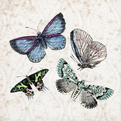 Butterfly Flight 2 Black Modern Wood Framed Art Print with Double Matting by Kimberly, Allen