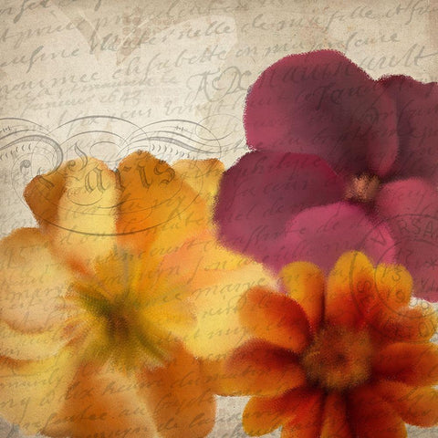 Autumn Blooms 1 White Modern Wood Framed Art Print with Double Matting by Kimberly, Allen