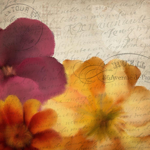 Autumn Blooms 2 White Modern Wood Framed Art Print with Double Matting by Kimberly, Allen