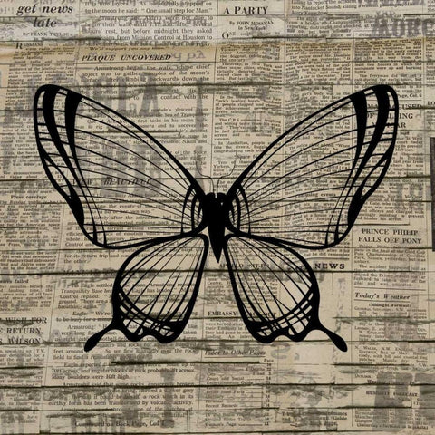 Butterfly On Print 1 Black Ornate Wood Framed Art Print with Double Matting by Allen, Kimberly