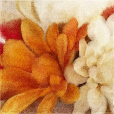 Full Bloom 1 Black Modern Wood Framed Art Print by Kimberly, Allen