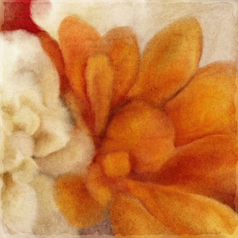 Full Bloom 2 Gold Ornate Wood Framed Art Print with Double Matting by Kimberly, Allen