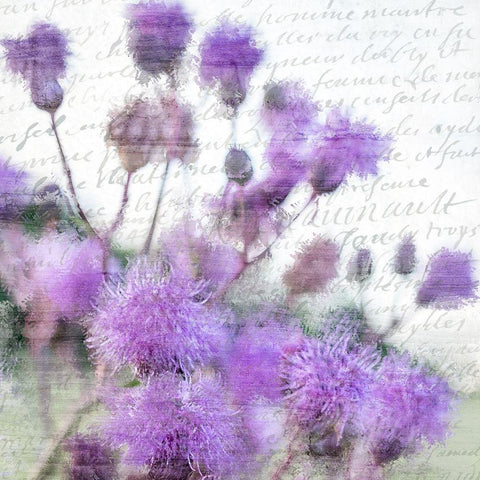 Purple Thistle 1 Gold Ornate Wood Framed Art Print with Double Matting by Kimberly, Allen