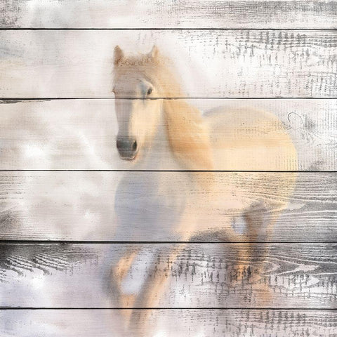 White Knight Black Modern Wood Framed Art Print by Kimberly, Allen