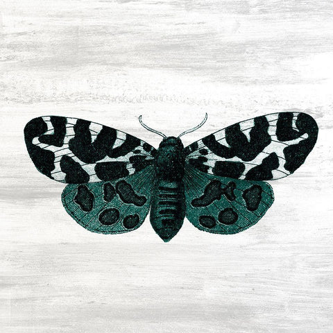 Wildflower Jar 14 White Modern Wood Framed Art Print with Double Matting by Kimberly, Allen