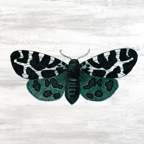 Wildflower Jar 14 Black Modern Wood Framed Art Print by Kimberly, Allen