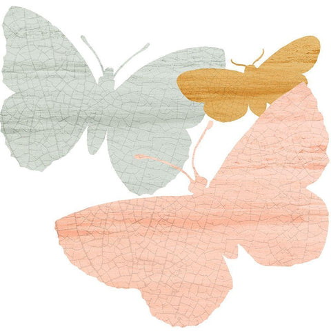 Butterfly Collection 1 Gold Ornate Wood Framed Art Print with Double Matting by Kimberly, Allen