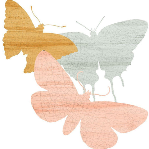 Butterfly Collection 2 Black Ornate Wood Framed Art Print with Double Matting by Kimberly, Allen