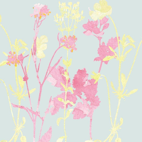 Sunshine Pink 1 Black Ornate Wood Framed Art Print with Double Matting by Kimberly, Allen