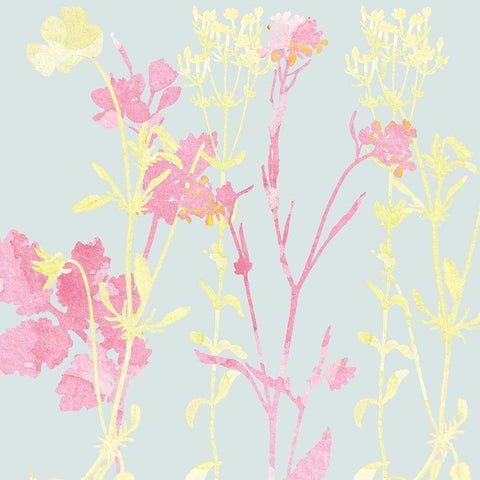 Sunshine Pink 2 White Modern Wood Framed Art Print by Kimberly, Allen