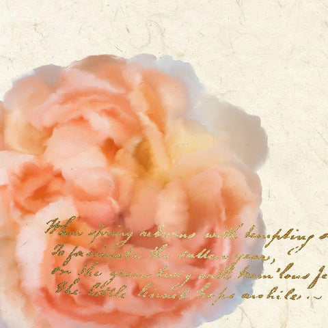 Spring Blooming Peach Black Modern Wood Framed Art Print with Double Matting by Kimberly, Allen