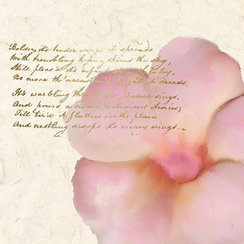 Spring Blooming Pink Gold Ornate Wood Framed Art Print with Double Matting by Kimberly, Allen